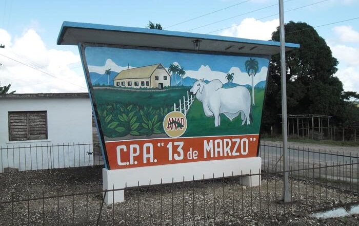 CPA “13 de Marzo” de Cabaiguán augura un mejor año productivo (+ Audio) 