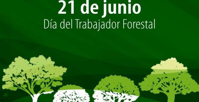 Trabajador forestal: guardianes de nuestros bosques