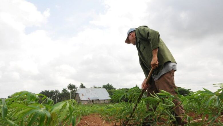 Reconoce máximo dirigente de la ANAP de Cabaiguán deudas del campesinado con las 63 medidas aprobadas para dinamizar la agricultura