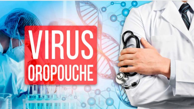 Confirmados primeros tres casos de fiebre del Oropouche en Cabaiguán (+Audio)