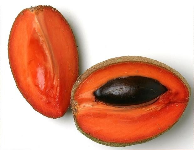 mamey