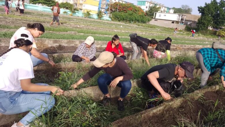 Jóvenes cabaiguanenses en segunda edición de los campamentos de verano (+ Audio)