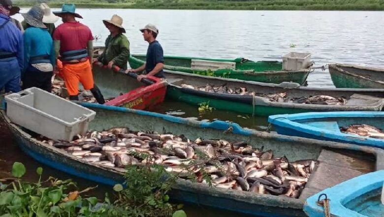 Pescaspir en Sancti Spíritus alcanza metas a chinchorrazo limpio