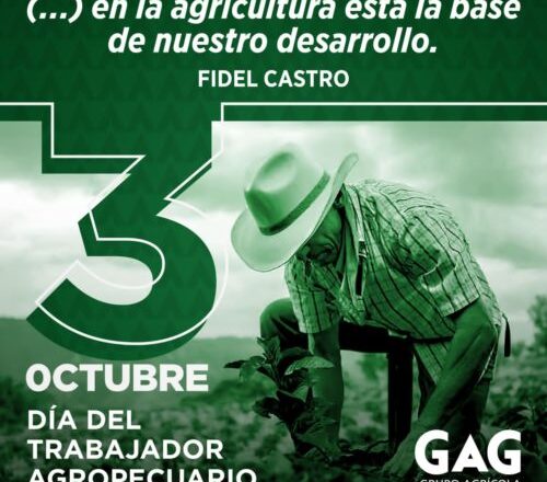 Trabajador Agropecuario, una fuerza indispensable para Cuba