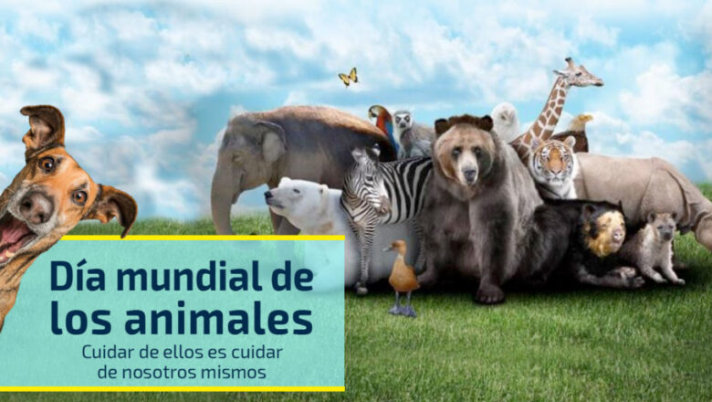 Día Mundial de los Animales, una oportunidad para brindarles todo nuestro amor