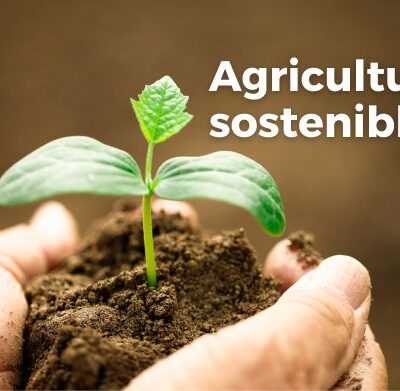 Agricultura sostenible: presente y futuro de las naciones