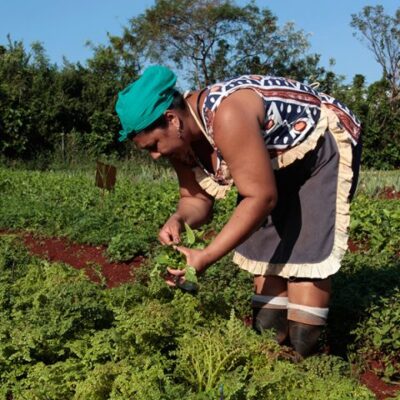 Día Mundial de la Mujer Rural