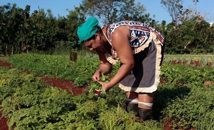 Día Mundial de la Mujer Rural