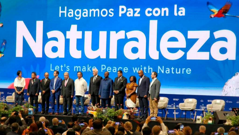 Continúa desarrollo de segmento de alto nivel en COP16 en Colombia