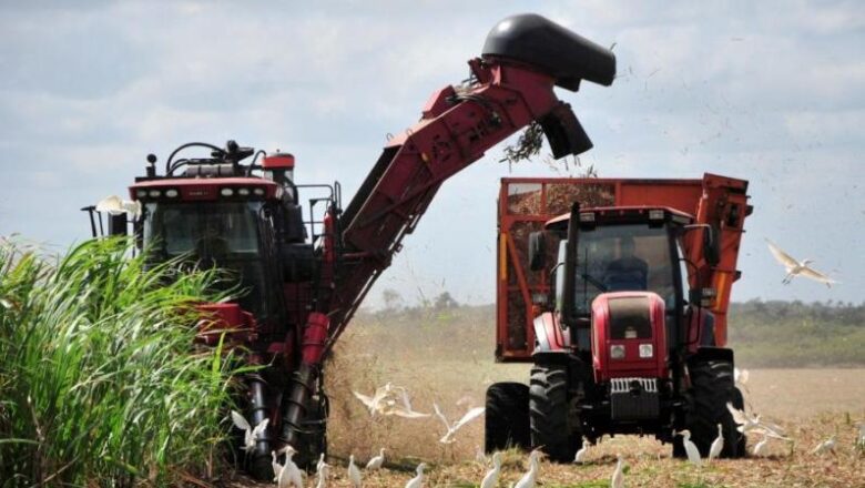 Buró Municipal del Partido de Cabaiguán en la búsqueda de contener el decrecimiento de la producción cañera en el territorio 