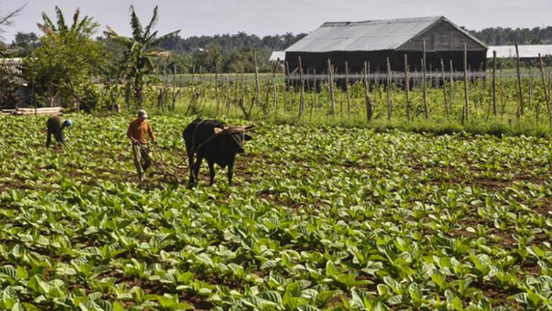 Cuba emite resolución exonerando de aranceles importación de varios productos