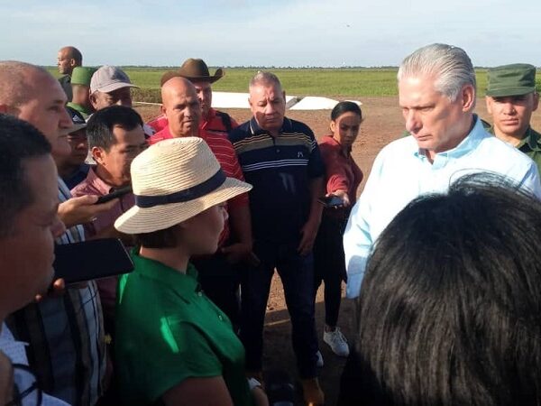 Chequea Díaz-Canel proyecto arrocero en Pinar del Río