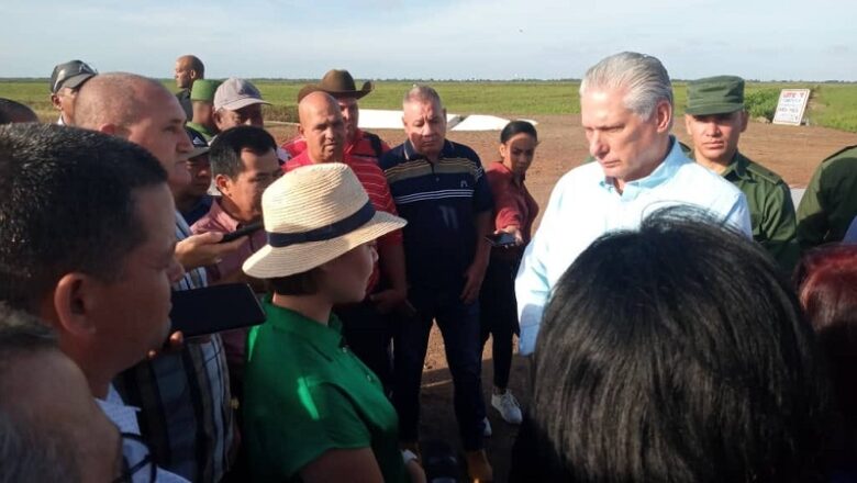 Chequea Díaz-Canel proyecto arrocero en Pinar del Río