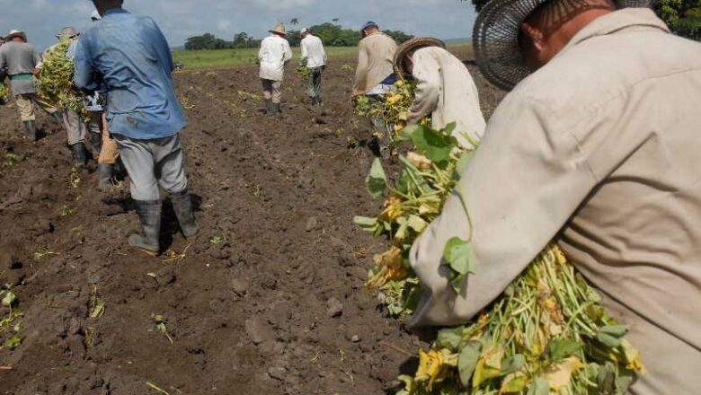 Llaman en Cabaiguán a reimpulsar la economía (+ Audio)