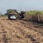 Cabaiguán por cumplir zafra azucarera a pesar de limitaciones de recursos y combustible (+Audio y Fotos)