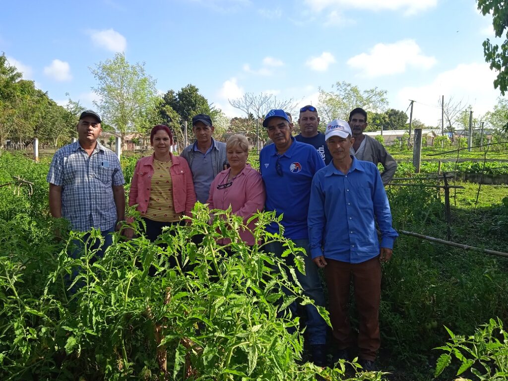 agricultura